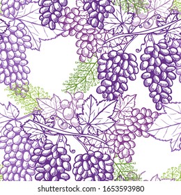 Elegant seamless pattern with grapes, design elements. Fruit  pattern for invitations, cards, print, gift wrap, manufacturing, textile, fabric, wallpapers. Food, kitchen, vegetarian theme