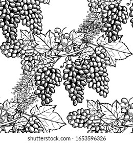 Elegant seamless pattern with grapes, design elements. Fruit  pattern for invitations, cards, print, gift wrap, manufacturing, textile, fabric, wallpapers. Food, kitchen, vegetarian theme