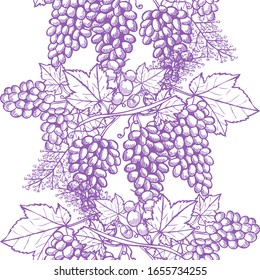 Elegant seamless pattern with grapes, design elements. Fruit  pattern for invitations, cards, print, gift wrap, manufacturing, textile, fabric, wallpapers. Food, kitchen, vegetarian theme