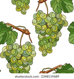Elegante patrón impecable con uvas, elementos de diseño. Patrón de frutas para invitaciones, tarjetas, impresión, envoltura de regalo, manufactura, textiles, tela, papel pintado