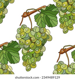 Elegante patrón impecable con uvas, elementos de diseño. Patrón de frutas para invitaciones, tarjetas, impresión, envoltura de regalo, manufactura, textiles, tela, papel pintado