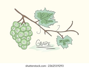 Elegant seamless pattern with grapes, design elements. Fruit pattern for invitations, cards, print, gift wrap, manufacturing, textile, fabric, wallpapers, t-shirt design for textile 