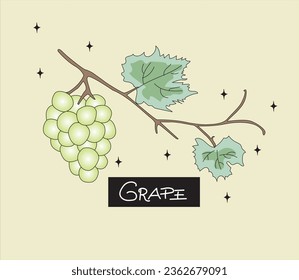 Elegant seamless pattern with grapes, design elements. Fruit pattern for invitations, cards, print, gift wrap, manufacturing, textile, fabric, wallpapers, t-shirt design for textile .tee shirt print