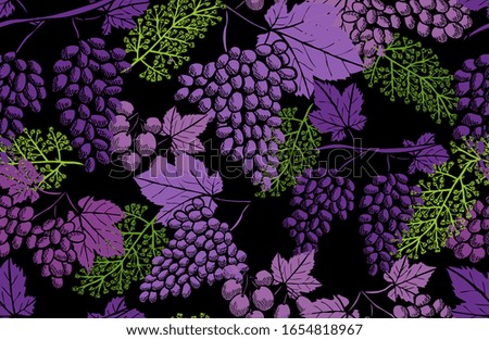 Elegant seamless pattern with grapes, design elements. Fruit  pattern for invitations, cards, print, gift wrap, manufacturing, textile, fabric, wallpapers. Food, kitchen, vegetarian theme