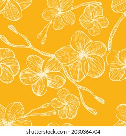 Elegante patrón impecable con flores frangipani dibujadas a mano. Patrón para papel de pared, papel de envoltura, fondo, impresión, tela, tarjetas de felicitación Dibujo de tinta de arte de línea en amarillo. Ilustración vectorial.