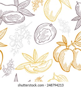 Elegant seamless pattern with hand drawn decorative mango fruits, design elements. Can be used for invitations, greeting cards, scrapbooking, print, gift wrap, manufacturing. Food background