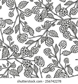 Elegant seamless pattern with hand drawn decorative raspberries, design elements. Can be used for invitations, greeting cards, scrapbooking, print, gift wrap, manufacturing. Food background