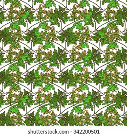 Elegant seamless pattern with hand drawn decorative parsley, design element. Can be used for invitations, greeting cards, scrapbooking, print, gift wrap, manufacturing. Kitchen theme. Herbs and spices