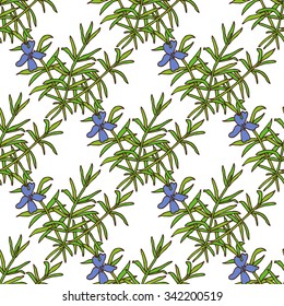 Elegant seamless pattern with hand drawn decorative rosemary, design element. Can be used for invitations, greeting cards, scrapbooking, print, gift wrap, manufacturing. Food background. Herbs