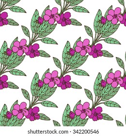 Elegant seamless pattern with hand drawn decorative sage, design element. Can be used for invitations, greeting cards, scrapbooking, print, gift wrap, manufacturing. Food background. Herbs and spices