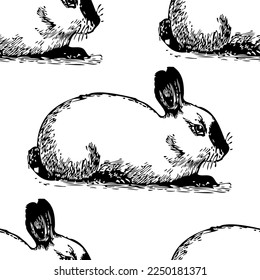 Elegant seamless pattern with himalayan rabbits, design elements. Animal  pattern for invitations, cards, print, gift wrap, manufacturing, textile, fabric, wallpapers. Chinese Symbol of 2023