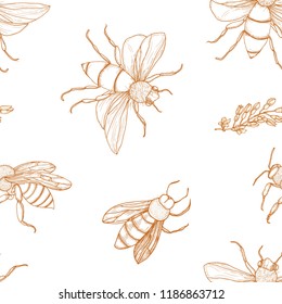 Elegant seamless pattern with honey bees hand drawn with contour lines on white background. Apiculture or beekeeping backdrop. Monochrome vector illustration in antique engraving style for wallpaper.