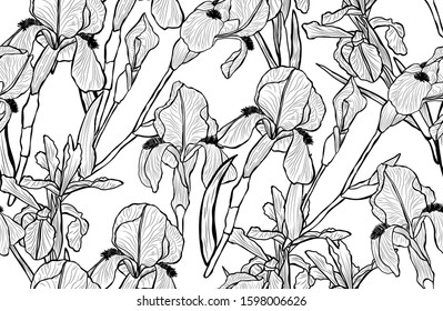 Elegant seamless pattern with iris flowers, design elements. Floral  pattern for invitations, cards, print, gift wrap, manufacturing, textile, fabric, wallpapers