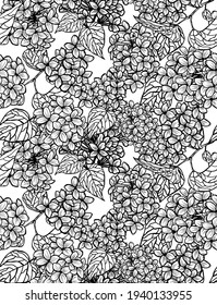 Elegante y sin fisuras con flores de lila, elementos de diseño. Patrón floral para invitaciones, tarjetas, impresiones, envolturas de regalo, manufactura, textiles, tejidos, papeles pintados