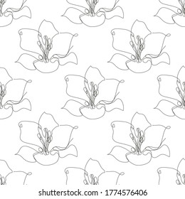 Elegantes, nahtloses Muster mit Lilienblumen, Design-Elementen. Blumenmuster für Einladungen, Karten, Druck, Geschenkverpackung, Herstellung, Textilien, Gewebe, Wallpaper. Kunststil mit kontinuierlicher Linie