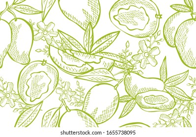 Elegantes, nahtloses Muster mit Mango-Früchten, Design-Elementen. Obstmuster für Einladungen, Karten, Druck, Geschenkverpackung, Herstellung, Textilien, Gewebe, Wallpaper. Essen, Küche, vegetarisches Thema