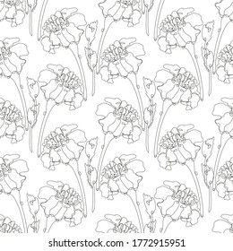 Elegant seamless pattern with marigold flowers, design elements. Floral  pattern for invitations, cards, print, gift wrap, manufacturing, textile, fabric, wallpapers. Continuous line art style