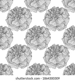 Elegant seamless pattern with marigold flowers, design elements. Floral  pattern for invitations, cards, print, gift wrap, manufacturing, textile, fabric, wallpapers