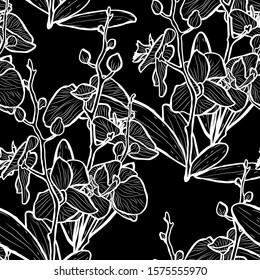 Elegant seamless pattern with orchid flowers, design elements. Floral  pattern for invitations, cards, print, gift wrap, manufacturing, textile, fabric, wallpapers