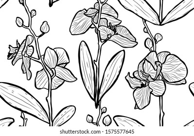 Elegant seamless pattern with orchid flowers, design elements. Floral  pattern for invitations, cards, print, gift wrap, manufacturing, textile, fabric, wallpapers
