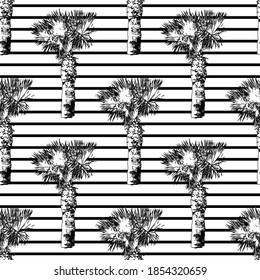 Elegante y sin fisuras, con palmeras y elementos de diseño. Patrón exótico para invitaciones, tarjetas, impresión, envoltura de regalo, fabricación, textiles, tela, papel tapiz