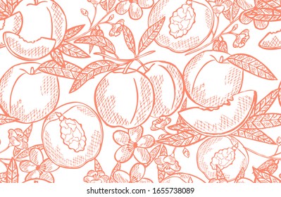 Elegant seamless pattern with peach fruits, design elements. Fruit  pattern for invitations, cards, print, gift wrap, manufacturing, textile, fabric, wallpapers. Food, kitchen, vegetarian theme