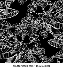 Elegant seamless pattern with plumeria flowers, design elements. Floral  pattern for invitations, cards, print, gift wrap, manufacturing, textile, fabric, wallpapers