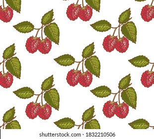 Elegante patrón sin fisuras con frutos de frambuesa, elementos de diseño. Patrón de fruta para invitaciones, tarjetas, impresión, envoltura de regalo, manufactura, textiles, tela, papel pintado. Comida, cocina, temática vegetariana