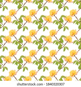Elegante y sin fisuras con flores de rosa, elementos de diseño. Patrón floral para invitaciones, tarjetas, impresiones, envolturas de regalo, manufactura, textiles, tejidos, papeles pintados
