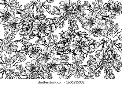 Elegant seamless pattern with sakura, cherry blossom flowers, design elements. Floral  pattern for invitations, cards, print, gift wrap, manufacturing, textile, fabric, wallpapers