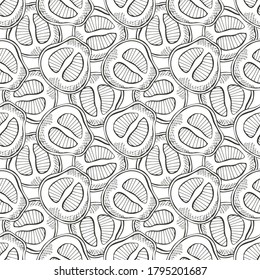 Elegant seamless pattern with sliced pomelo fruits, design elements. Fruit  pattern for invitations, cards, print, gift wrap, manufacturing, textile, fabric, wallpapers. 
Food, kitchen, vegetarian the