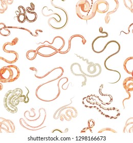 Elegant seamless pattern with snakes on white background. Backdrop with exotic legless reptiles, venomous predators, wild animals living in desert or tropical jungle. Flat cartoon vector illustration.