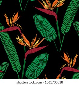 Elegant seamless pattern with strelitzia flowers, design elements. Floral  pattern for invitations, cards, print, gift wrap, manufacturing, textile, fabric, wallpapers
