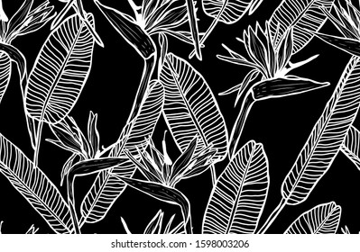 Elegant seamless pattern with strelitzia flowers, design elements. Floral  pattern for invitations, cards, print, gift wrap, manufacturing, textile, fabric, wallpapers