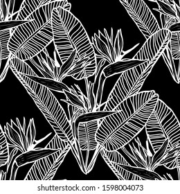 Elegant seamless pattern with strelitzia flowers, design elements. Floral  pattern for invitations, cards, print, gift wrap, manufacturing, textile, fabric, wallpapers