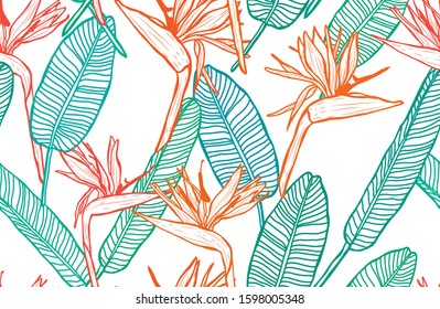 Elegant seamless pattern with strelitzia flowers, design elements. Floral  pattern for invitations, cards, print, gift wrap, manufacturing, textile, fabric, wallpapers