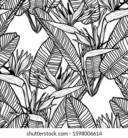 Elegant seamless pattern with strelitzia flowers, design elements. Floral  pattern for invitations, cards, print, gift wrap, manufacturing, textile, fabric, wallpapers