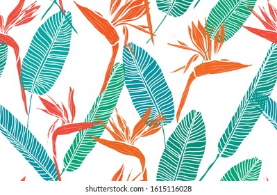 Elegant seamless pattern with strelitzia flowers, design elements. Floral  pattern for invitations, cards, print, gift wrap, manufacturing, textile, fabric, wallpapers