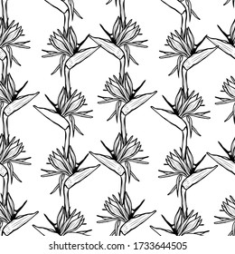 Elegant seamless pattern with strelitzia flowers, design elements. Floral  pattern for invitations, cards, print, gift wrap, manufacturing, textile, fabric, wallpapers