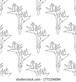 Elegant seamless pattern with strelitzia flowers, design elements. Floral  pattern for invitations, cards, print, gift wrap, manufacturing, textile, fabric, wallpapers. Continuous line art style