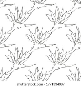 Elegant seamless pattern with strelitzia flowers, design elements. Floral  pattern for invitations, cards, print, gift wrap, manufacturing, textile, fabric, wallpapers. Continuous line art style