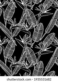 Elegantes, nahtloses Muster mit Strelitzia Blumen, Design-Elementen. Blumenmuster für Einladungen, Karten, Druck, Geschenkverpackungen, Herstellung, Textilien, Gewebe, Wallpaper