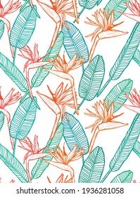 Elegant seamless pattern with strelitzia flowers, design elements. Floral  pattern for invitations, cards, print, gift wrap, manufacturing, textile, fabric, wallpapers