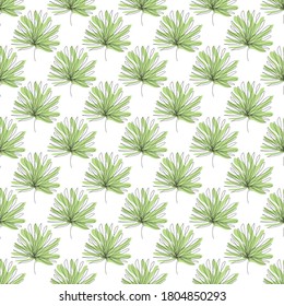 Elegantes, nahtloses Muster mit tropischen Blättern, Designelementen. Blumenmuster für Einladungen, Karten, Druck, Geschenkverpackung, Herstellung, Textilien, Gewebe, Wallpaper. Kunststil mit kontinuierlicher Linie