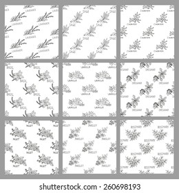 Elegant seamless patterns set with hand drawn decorative culinary herbs, design elements. Can be used for invitations, greeting cards, scrapbooking, print, gift wrap, manufacturing. Food background