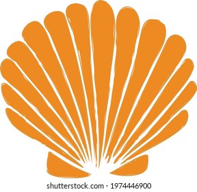 An elegant seashell illustration with orange color 
