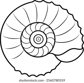 Elegant Seashell Spiral Line Art Vector Illustration