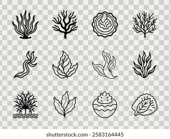 Elegant seaweed and algae vector line art set for branding, packaging, and creative digital projects.