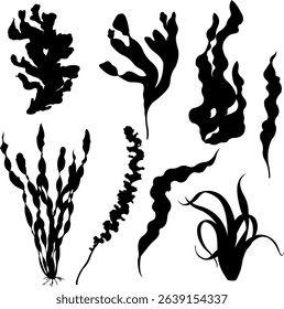 Elegant seaweed sihouettes waving underwater in the ocean blue light