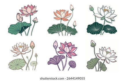 Ilustrações vetoriais elegantes e serenas com um belo feixe de 6 flores e desenhos de lótus